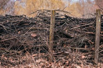 dechets-vert-locatrans